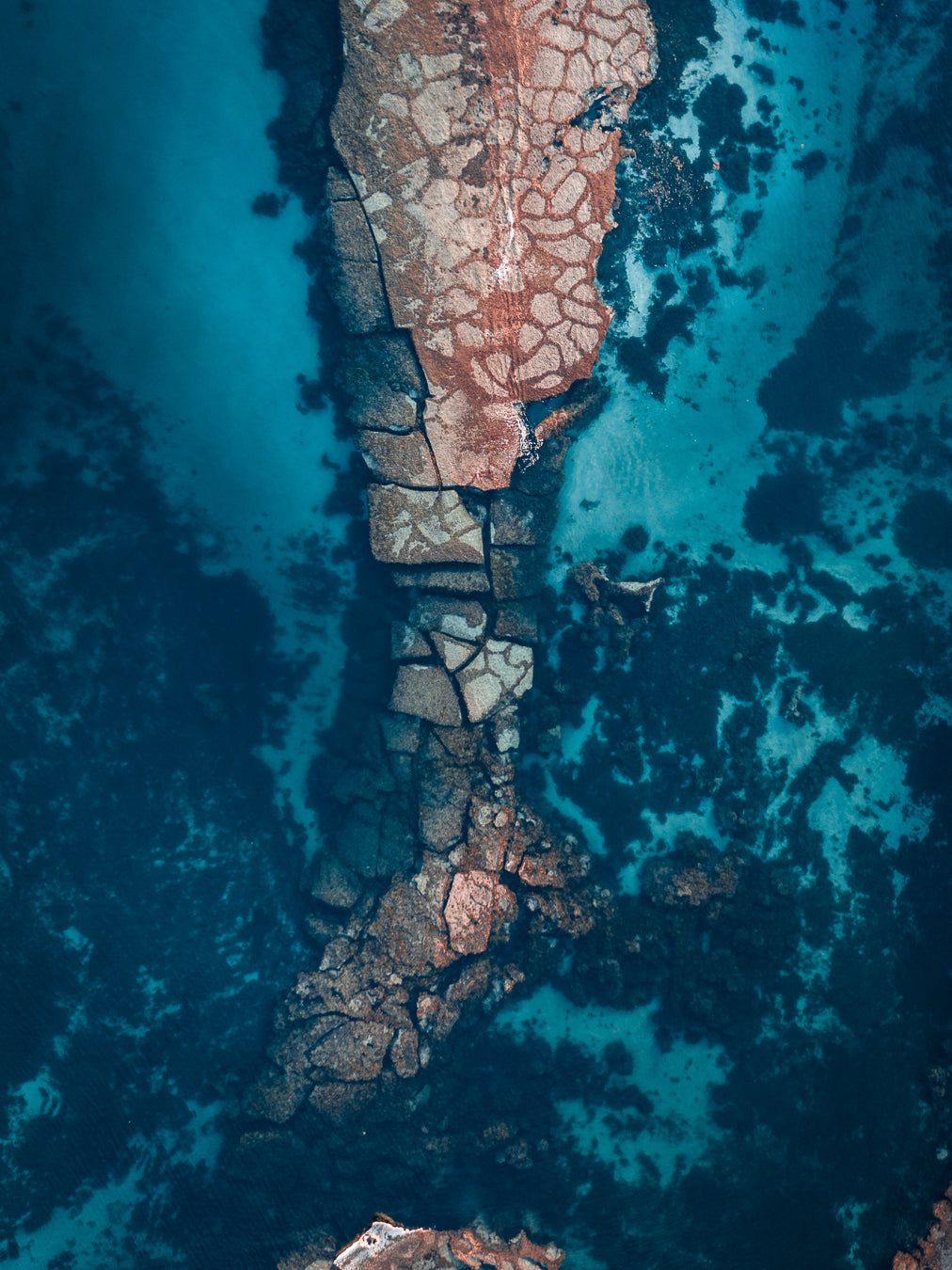 SJ100- RORSCHACH'S REEF