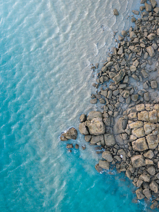 SJ301- ONE LAST CAST