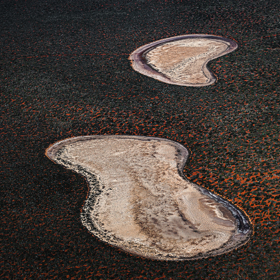 A photo of a birridas, located in shark bay, western australia