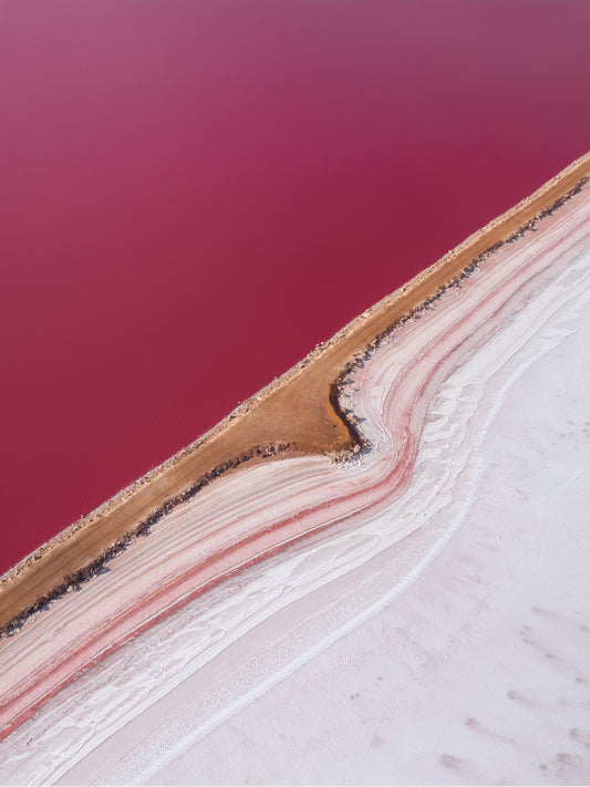 SJ407- HUTT LAGOON