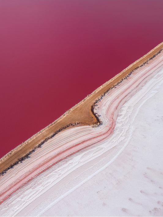 SJ407- HUTT LAGOON