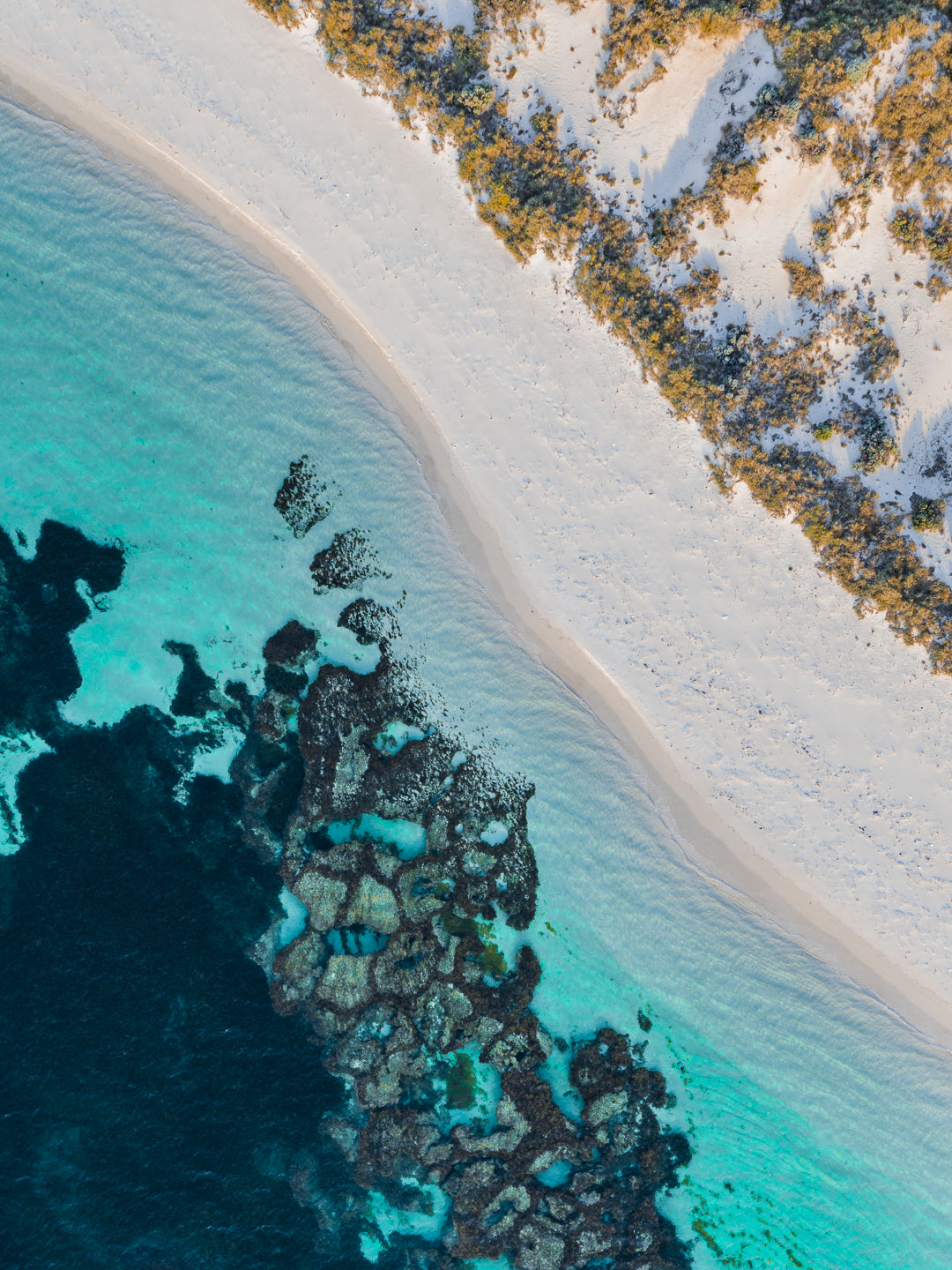 SJ102- ROTTNEST ISLAND