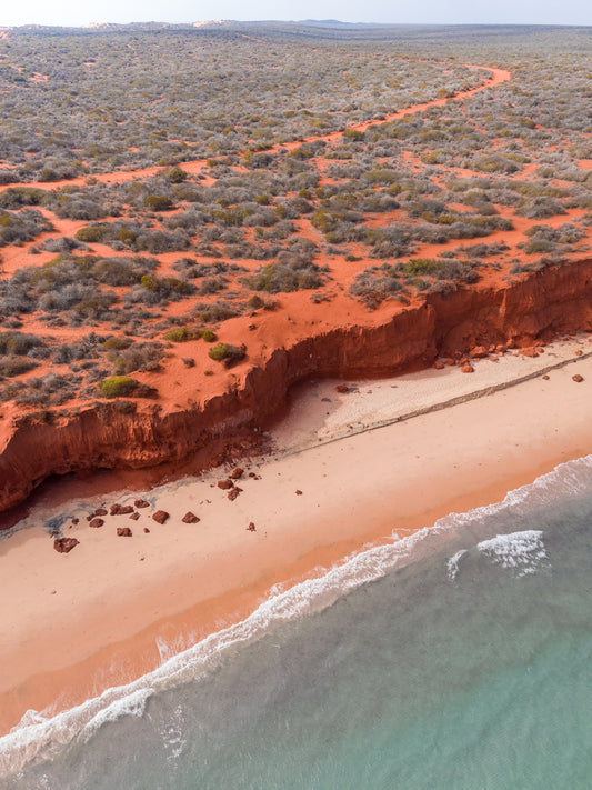 SJ409- SHARK BAY